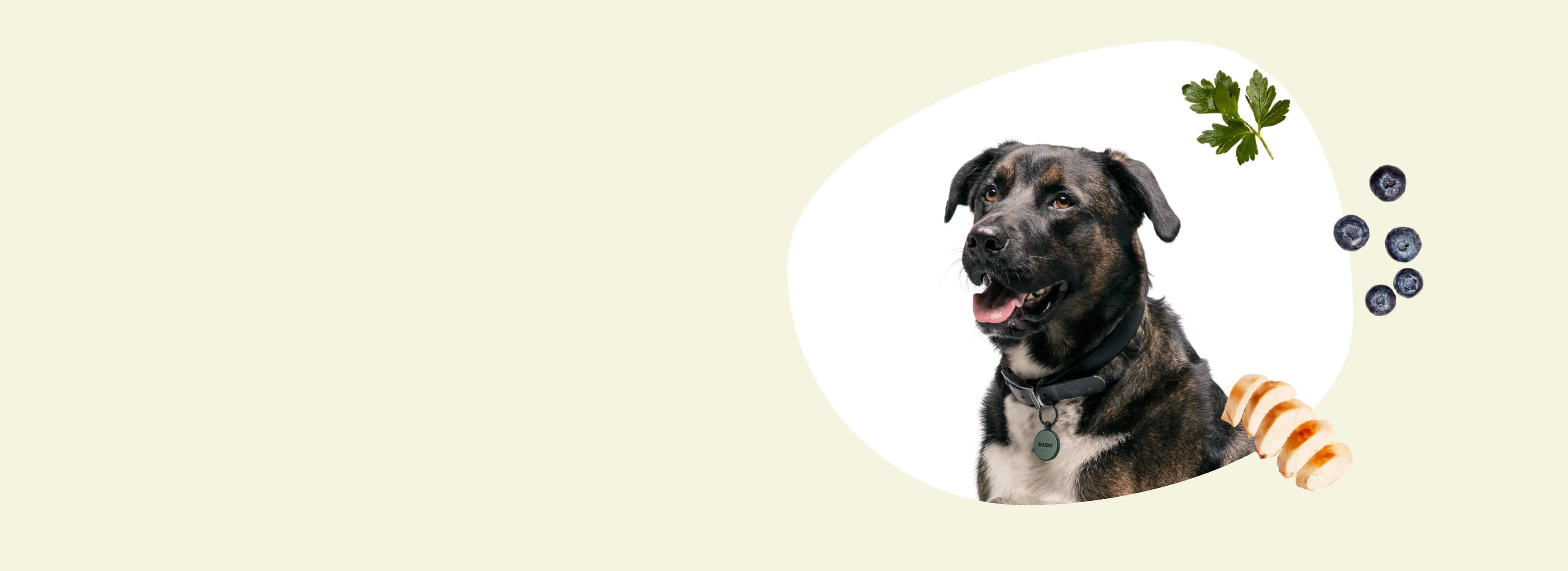 slider image 162080663620b95195-2